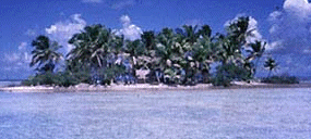 Ile polynsienne